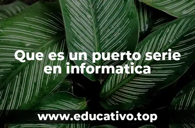 Que es un puerto serie en informatica