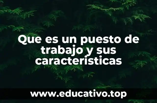Que es un puesto de trabajo y sus caracteristicas