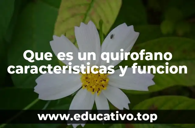 Que es un quirofano caracteristicas y funcion