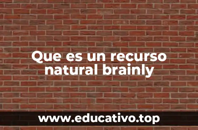 Que es un recurso natural brainly