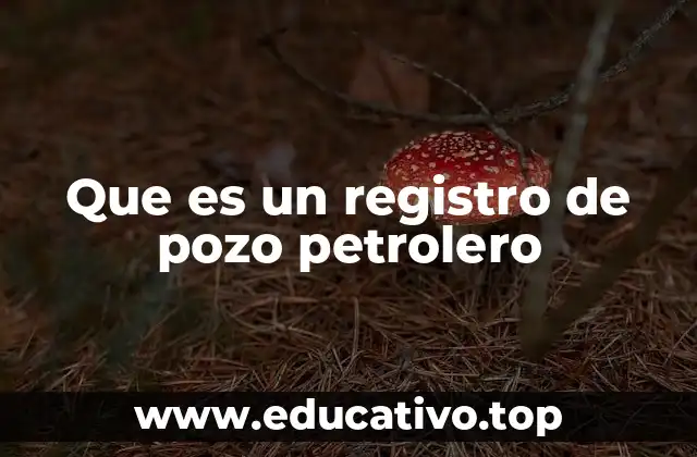 El papel de los registros en la exploración petrolera