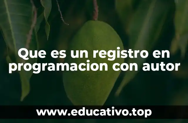 Que es un registro en programacion con autor