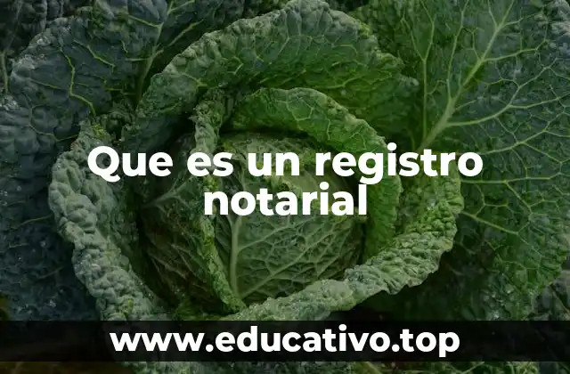 La importancia del registro notarial en la vida cotidiana