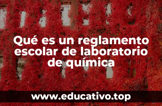 La importancia de establecer normas en el laboratorio escolar