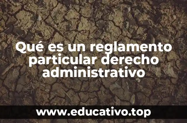Qué es un reglamento particular derecho administrativo