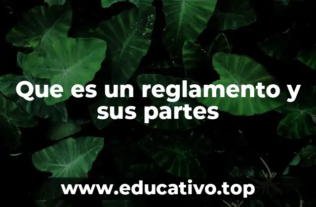 La estructura y el propósito de los reglamentos