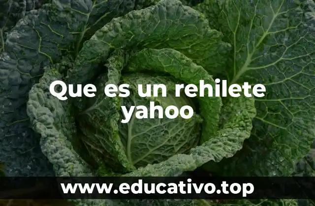 La evolución de Yahoo! antes de la era moderna de Google