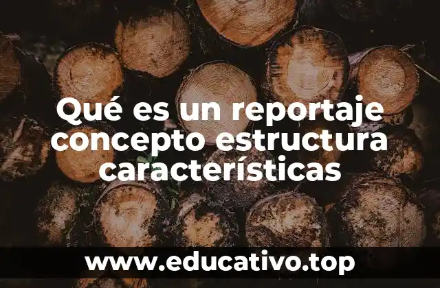 Qué es un reportaje concepto estructura características