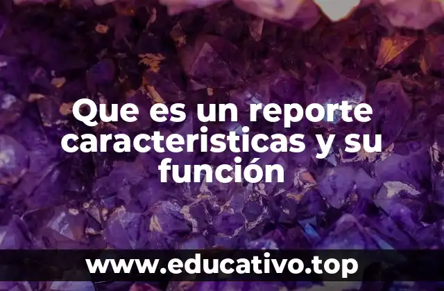 Que es un reporte caracteristicas y su función