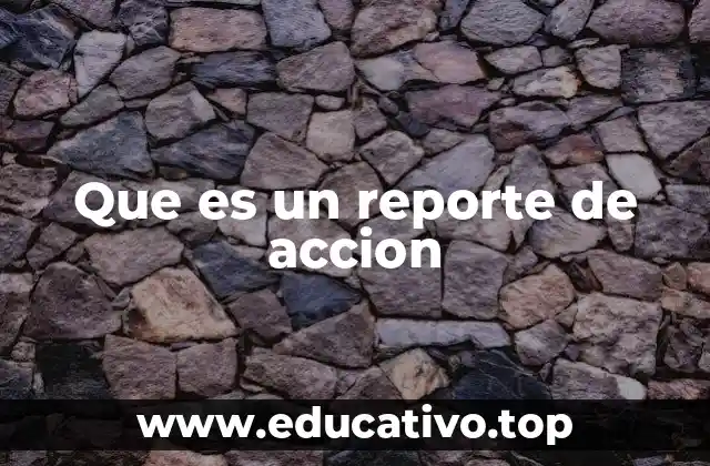 Que es un reporte de accion