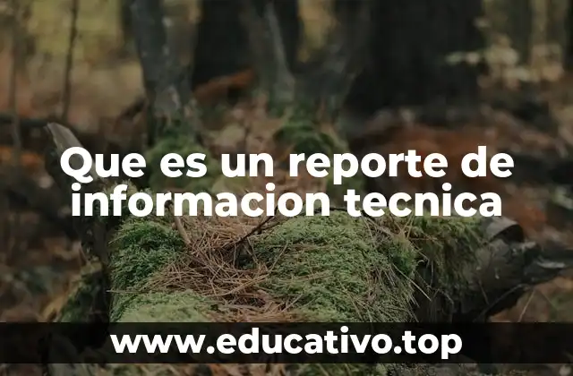 Que es un reporte de informacion tecnica