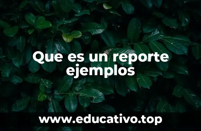 Que es un reporte ejemplos