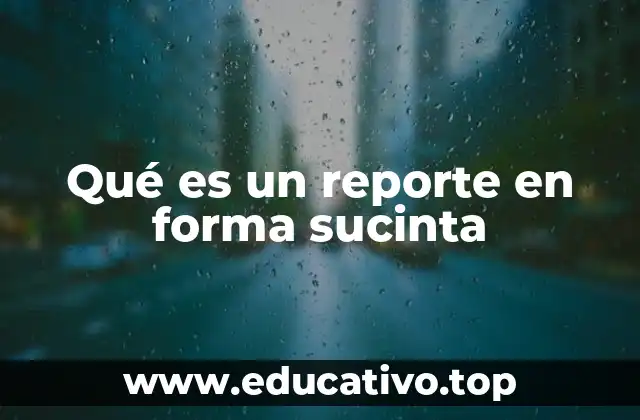 Qué es un reporte en forma sucinta
