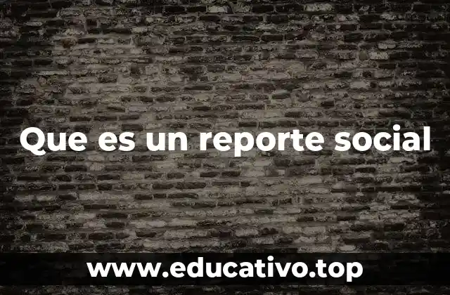 Que es un reporte social