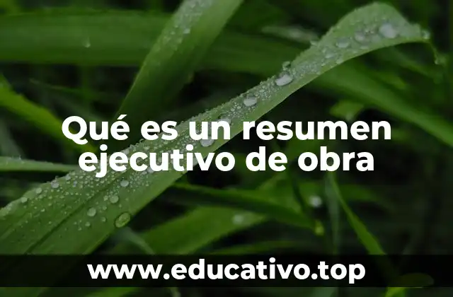 Qué es un resumen ejecutivo de obra