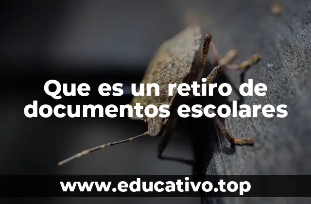 Que es un retiro de documentos escolares