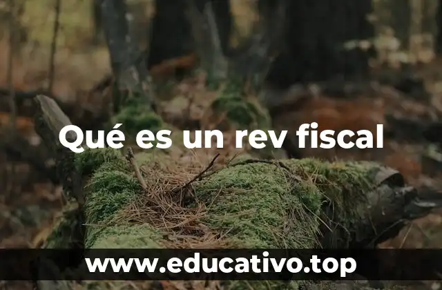 Cómo se relaciona el rev fiscal con el control tributario