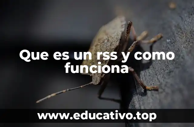 Que es un rss y como funciona