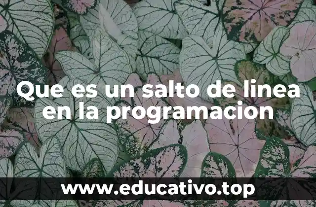 Que es un salto de linea en la programacion