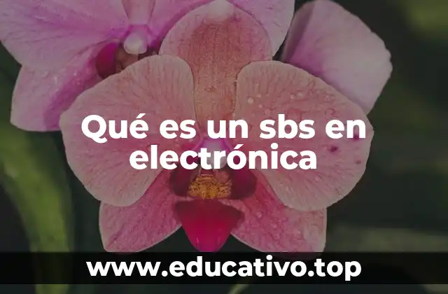 Qué es un sbs en electrónica