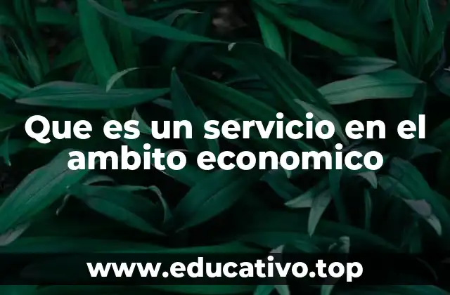 Que es un servicio en el ambito economico