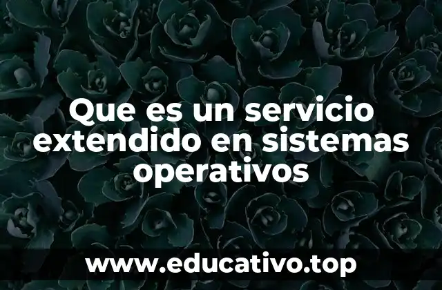 Que es un servicio extendido en sistemas operativos