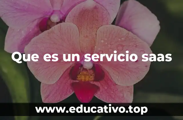Que es un servicio saas