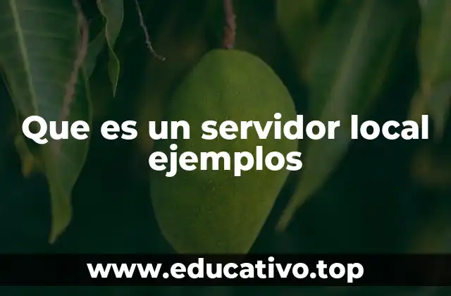 ¿Cómo funciona un servidor local en el desarrollo web?