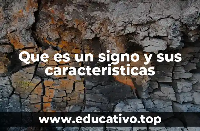 Que es un signo y sus caracteristicas