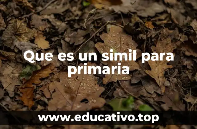 Que es un simil para primaria