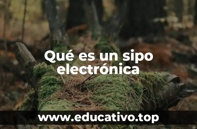 Qué es un sipo electrónica