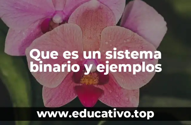 Que es un sistema binario y ejemplos