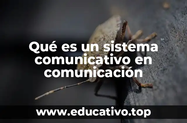 Qué es un sistema comunicativo en comunicación