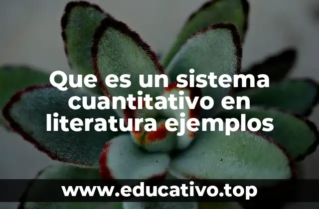 Que es un sistema cuantitativo en literatura ejemplos