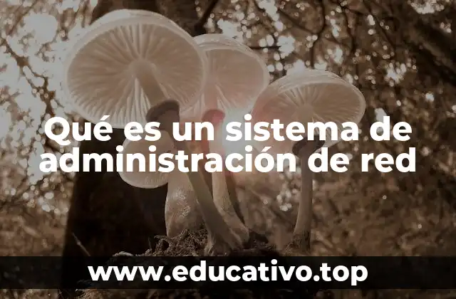 La importancia de contar con una herramienta eficiente para la gestión de redes