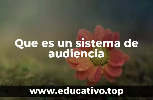 Que es un sistema de audiencia