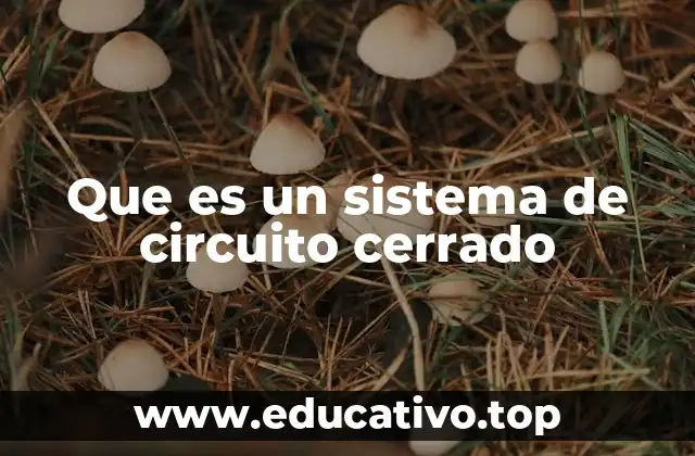 Que es un sistema de circuito cerrado