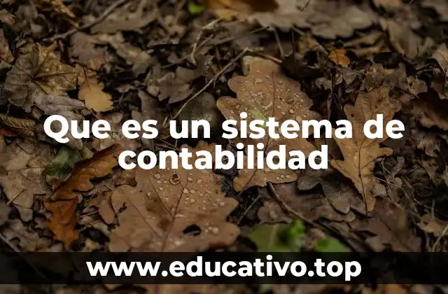 Que es un sistema de contabilidad