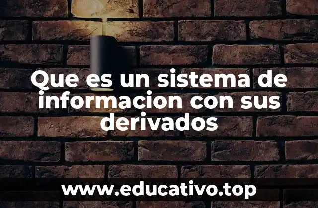 Componentes esenciales de un sistema de información