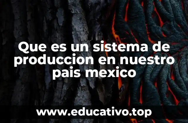 Que es un sistema de produccion en nuestro pais mexico
