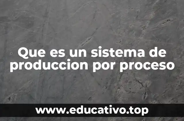 Que es un sistema de produccion por proceso