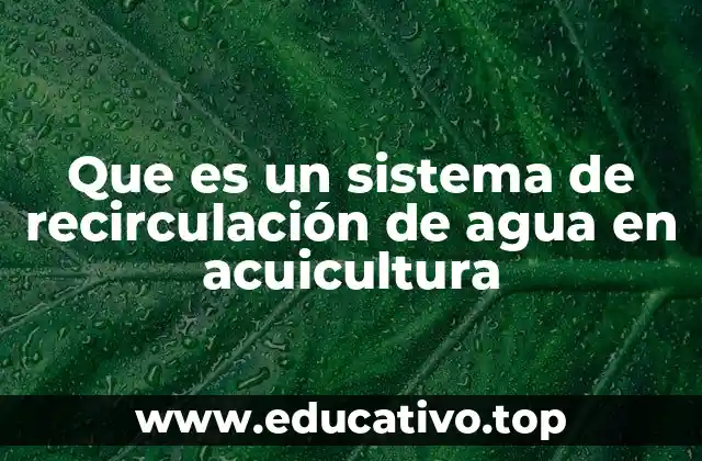 Que es un sistema de recirculación de agua en acuicultura