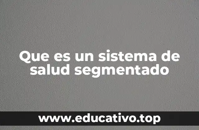 Que es un sistema de salud segmentado