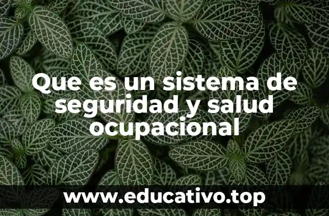 Que es un sistema de seguridad y salud ocupacional