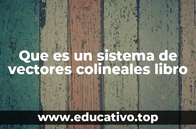 Que es un sistema de vectores colineales libro