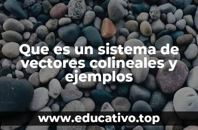 Que es un sistema de vectores colineales y ejemplos