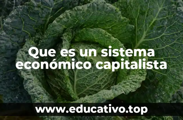 Que es un sistema económico capitalista