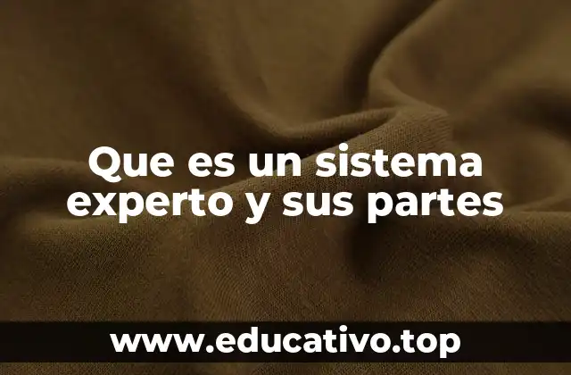 Que es un sistema experto y sus partes