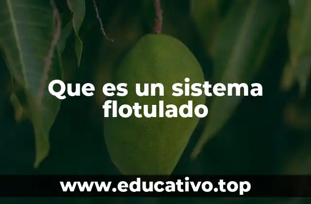 Que es un sistema flotulado