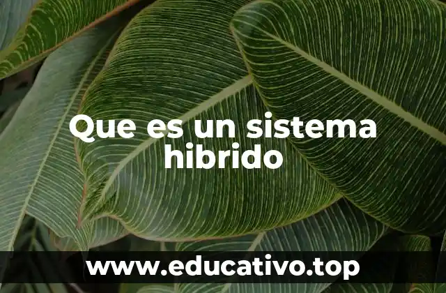 Que es un sistema hibrido